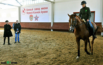 Французские всадники в донском хуторе
