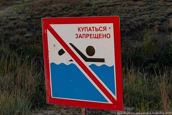 Донской парламентарий выступает за полный запрет купания в необорудованных местах