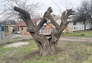 Наш цитатник XXVII