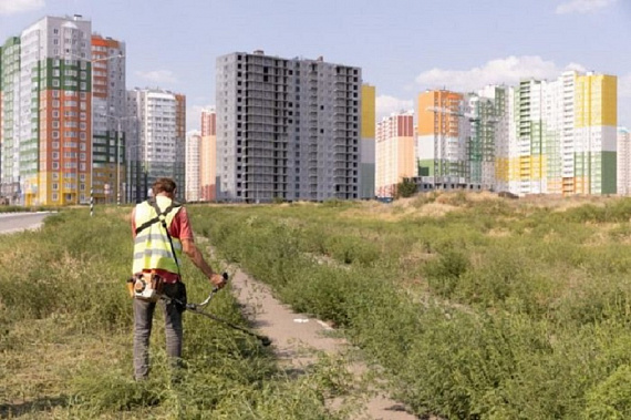 Продолжением известного жилого массива на западе Ростова станут три квартала микрорайона 