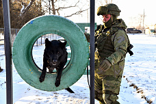 21 01 2026 Военные инженеры действуют...