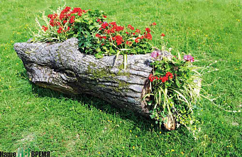 А если подумать?