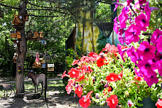 18 07 2025 Ростовский зоопарк продолжает традиции юннатского движения