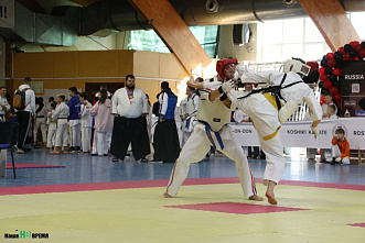 Первый «Кубок Евразии» остался в Ростове