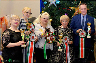 Кошки-крошки и добрые дела