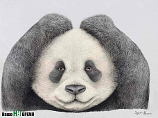 Звери на грани