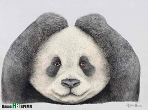 Звери на грани