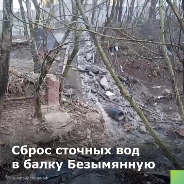 В ростовскую балку Безымянную вновь сбросили неочищенные стоки