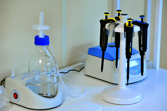 Рост приостановился: еще 2 950 случаев коронавирусной инфекции на Дону