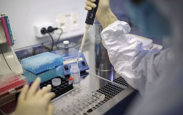 Суточный прирост случаев COVID-19 на Дону снизился до 320