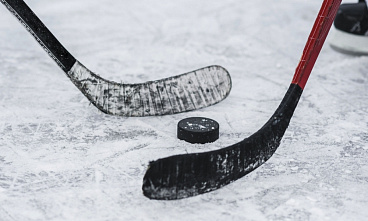 В игру вступает ротавирус. Сегодняшний матч между хоккеистами «Ростова» и нижегородского клуба «Торпедо-Горький» не состоится