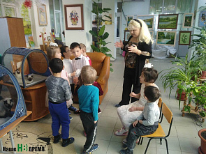 Кошки-крошки и добрые дела