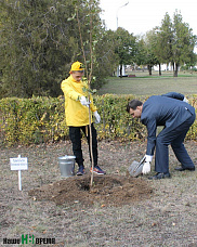 Нужны хорошие привычки 