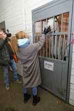 Музей-заповедник М.А. Шолохова пригласил ярко и незабываемо провести новогодние каникулы в станице Вёшенской