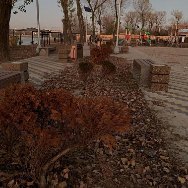 Донские урбанисты оценили благоустройство Зеленого острова в Ростове