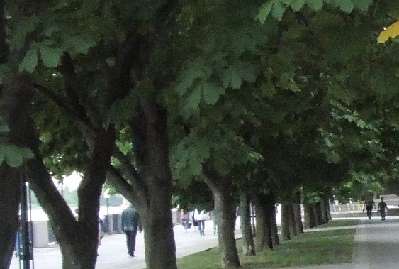 Инцидент на видеозаписи из Интернета об избиении мужчины в Ростове проверят представители Следкома