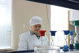 Таганрогская ветлаборатория получила право исследовать пчел