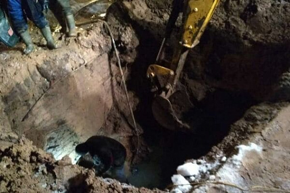 фото сайта donland.ru