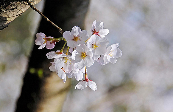 В Ростове открывается фотовыставка светского буддиста