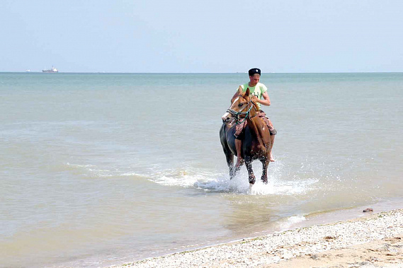 Казаки уже в Крыму