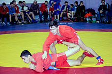 «Геркулес» принял самбо