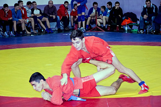 «Геркулес» принял самбо