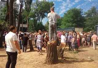 Что главное в парке: деревья или дорожки?