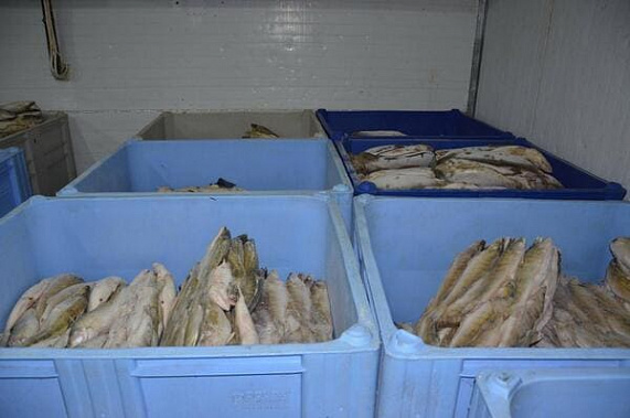 Более 700 килограмм рыбы не выпустили через МАПП Матвеево-Кургана