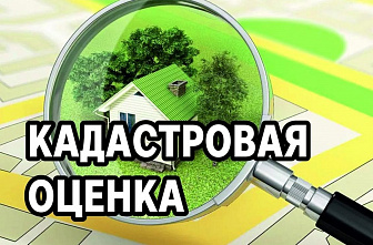 В 2023 году в Ростовской области проведут государственную кадастровую оценку
