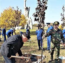 В Ростове заложили прокурорскую «Аллею Славы и воинской доблести»