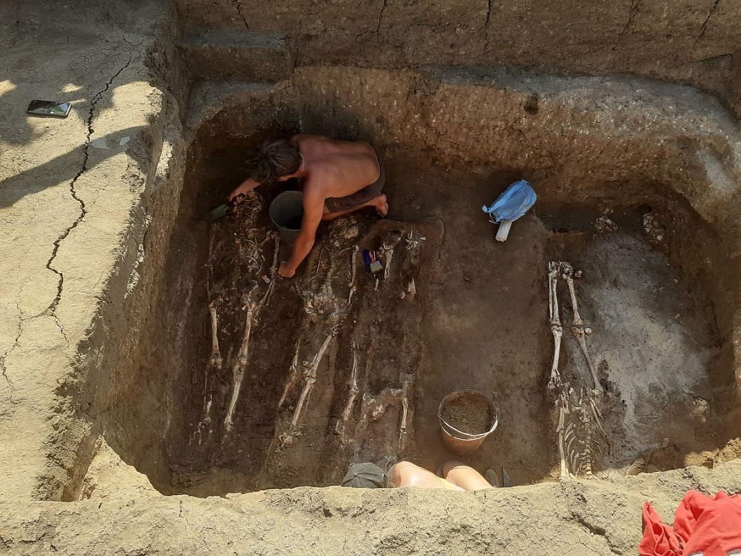 Фото предоставлено пресс-службой ЮФУ