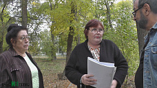 Под звуки пил и топоров