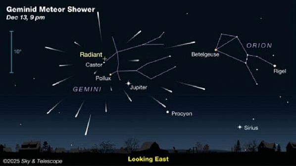 Источник фото: sciencealert.com.