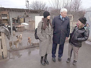 Как покончить с «собачьей жизнью»