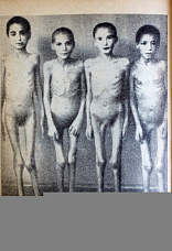 Через века, через года помните!