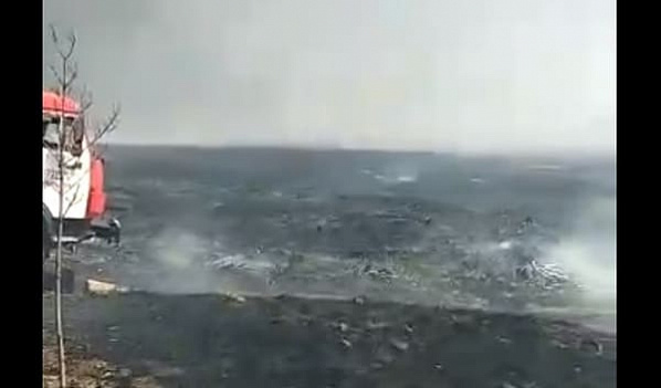 Пожар в Новочеркасске ликвидировали ценой машины МЧС и десятка сельскохозяйственной техники