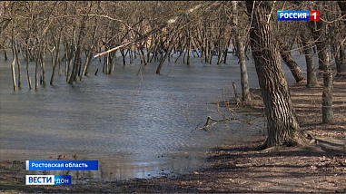 На малых реках бассейна Дона начинается  весеннее половодье