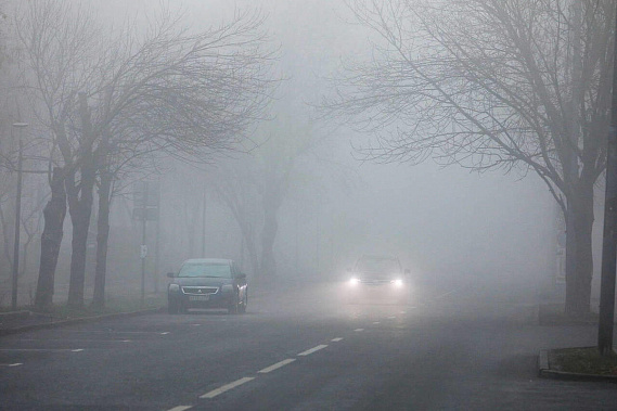 В праздничные дни на Дону прогнозируют туман и мокрый снег