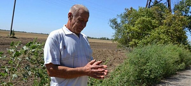 Около хутора Бровки Сальского района подростки нашли гранату Ф-1