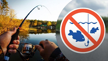 В Ростовской области вводится ряд сезонных ограничений на рыбалку