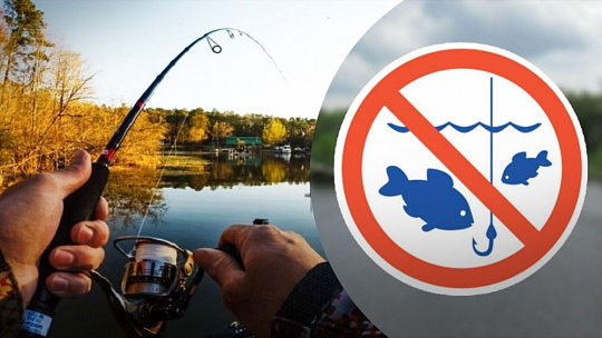 В Ростовской области вводится ряд сезонных ограничений на рыбалку