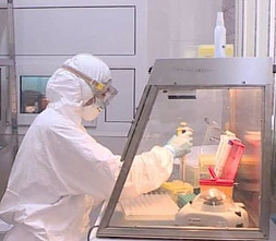 В Ростовской области за сутки выявили 193 новых случая COVID-19