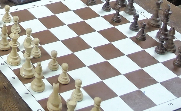 В Волгодонске проведут турнир памяти детского тренера и арбитра Владимира Петрова