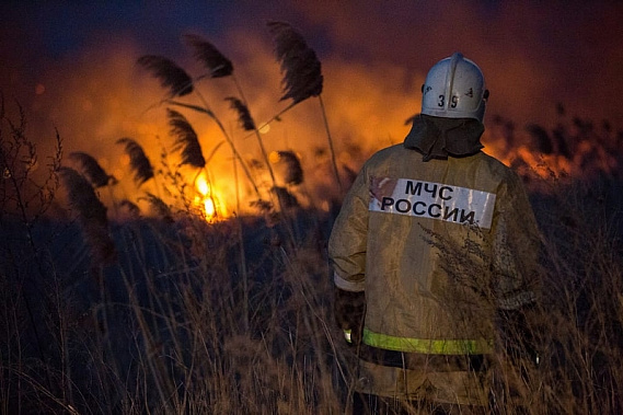 Маловодность Дона увеличивает риск пойменных пожаров