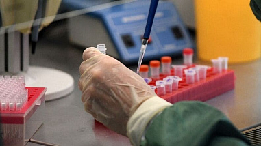 На Дону за сутки выявили 184 заболевших коронавирусной инфекцией