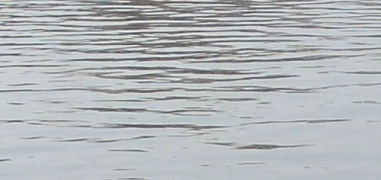 И вновь — о загрязнении  речки Быстрой...