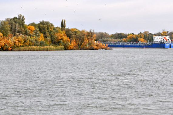 Уровень воды в Цимлянском море достиг максимума за последние 6 лет