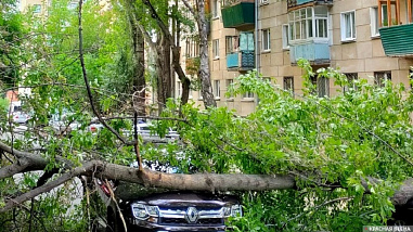 В Ростове и ряде других донских территорий продолжает бесчинствовать штормовой ветер