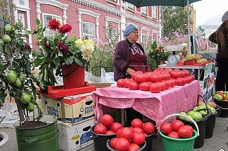 Вопрос с поездками на дачу в Ростовской области решат в ближайшие дни