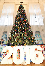 Губернаторская елка зажгла огни